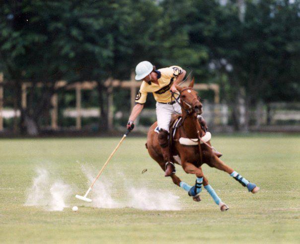 Adam Buchanan Polo Horses